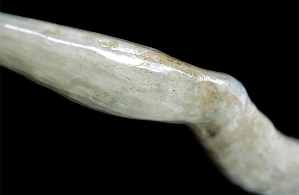 Leg, 2006, Ceramic, L.26 in.  /  66 cm [#SS06SC005]