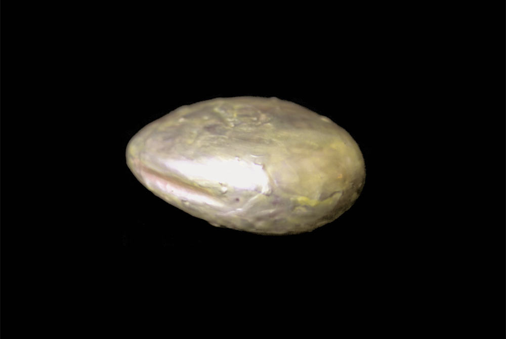 Egg, 2006, Nail Polish on Ceramic [#SS06SC007]