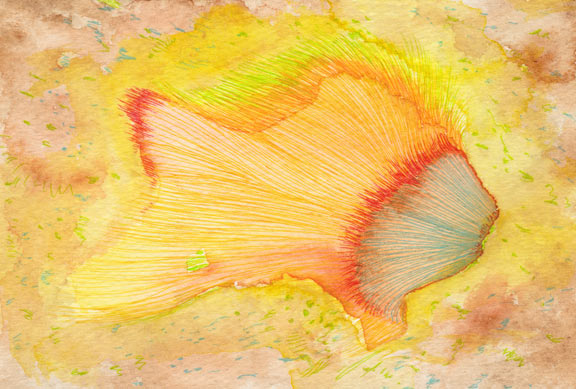 Goldfish, 2016, Watercolor and Pen on Acid-free Paper, 3.9 x 5.8 in. / 100 x 148 mm [#SS16DW039]