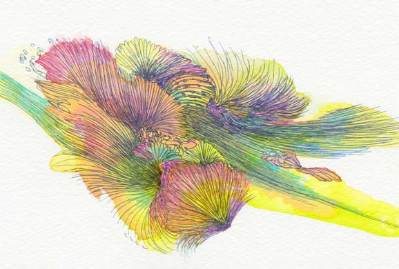 Autumn Breeze, 2016, Watercolor and Pen on Acid-free Paper, 3.9 x 5.8 in. / 100 x 148 mm [#SS16DW045]
